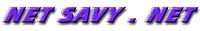 netsavylogosm.jpg (7985 bytes)